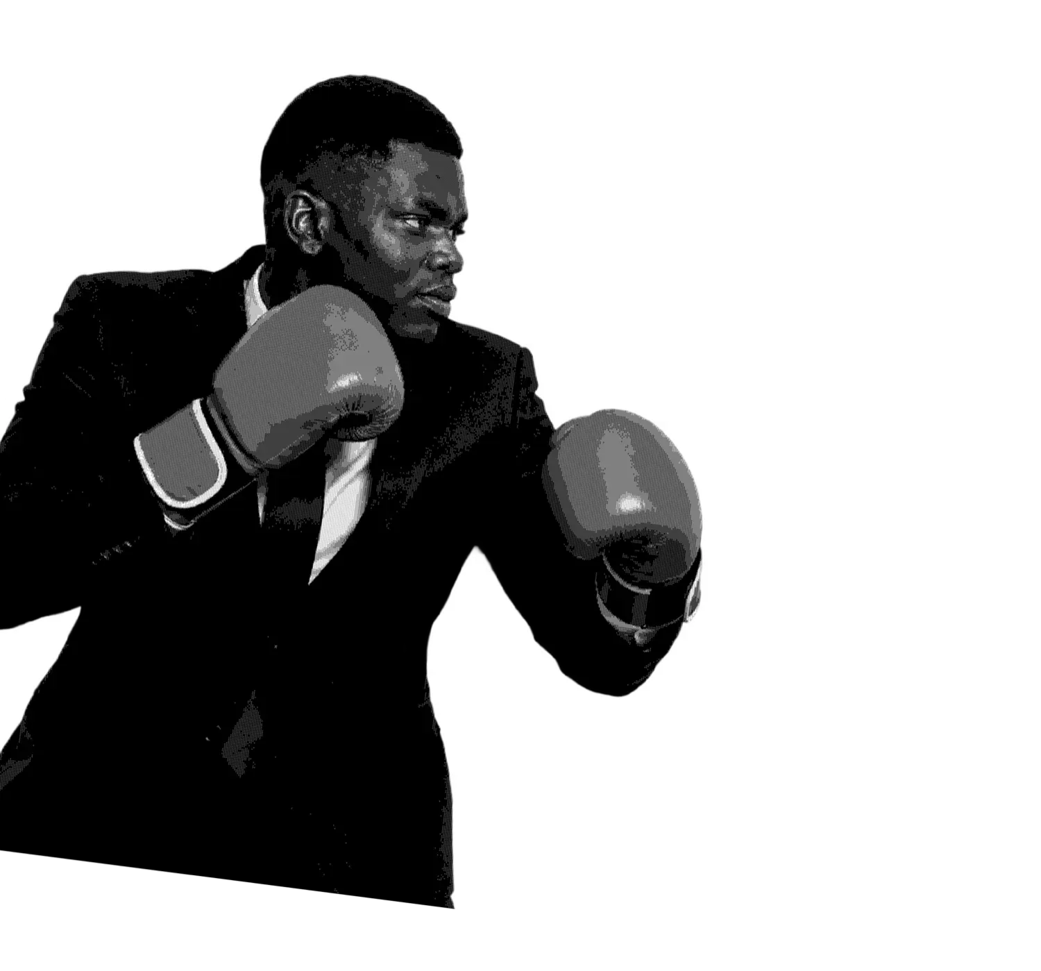 Don Sarkcess